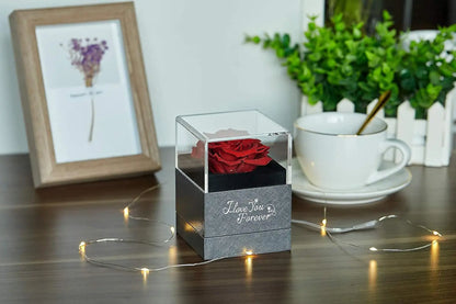 Eternal Rose & Necklace - Gift Set